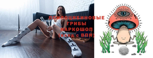 ECSTASY Алексин