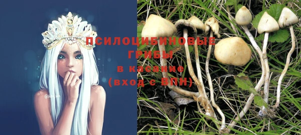 амф Абдулино