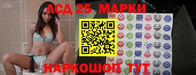 шишки Заволжье