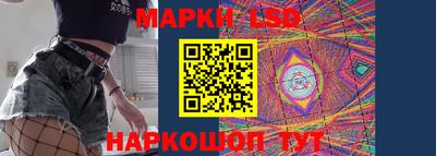 шишки Заволжье