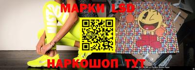 шишки Заволжье