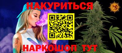 шишки Заволжье