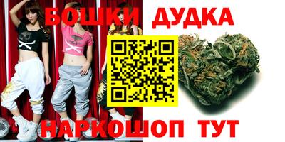 шишки Заволжье