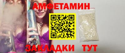 шишки Заволжье