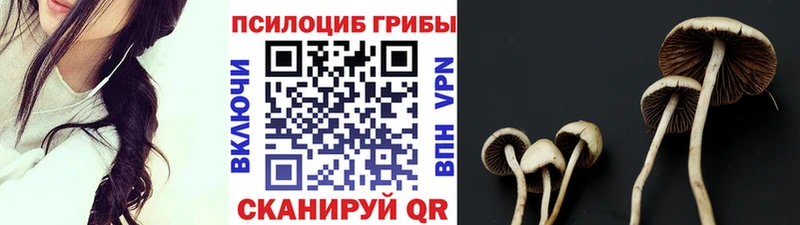 Псилоцибиновые грибы мицелий что такое Нижний Тагил