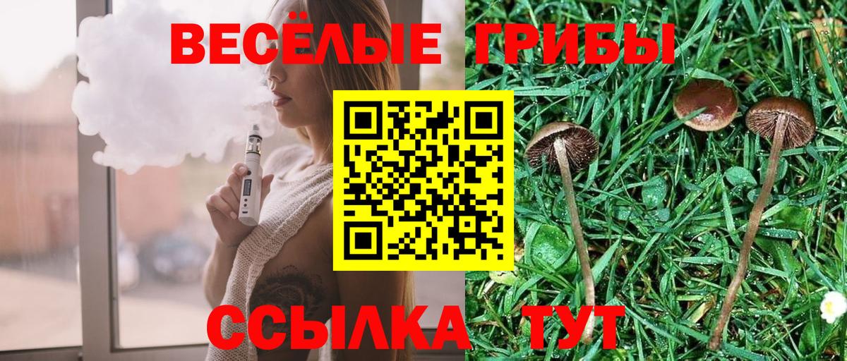 Нижний Тагил  Псилоцибиновые грибы мухоморы  Галлюциногенные грибы Magic Shrooms  Вход с VPN 